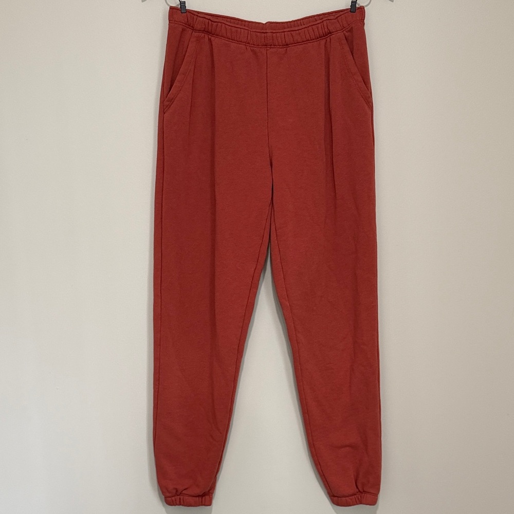 Aerie Rust Joggers